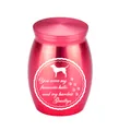 Urna de cremación para mascotas de aluminio rojo con silueta de perro y frase - 40x30mm / Rojo