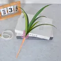 Realistic artificial green Cymbidium orchid leaf stem for home floral decor arrangements - 7-Leaf Orchid Leaves (No Iron Wire) / 46cm / Green