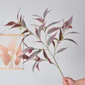 Lifelike artificial reddish-green 5-fork eucalyptus branch for interior home decoration - Gray-Purple Eucalyptus Leaves