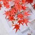 Vibrant multi-head red maple leaf stem for decorative garden and home landscape - Sunset Red