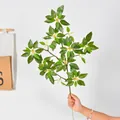 Realistic artificial Pieris Japonica branch in vibrant green for home decoration. - Flat Style / Green