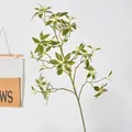 Artificial variegated Pieris Japonica branch for modern Japanese style home decoration - 3D Style / Green With White Edge