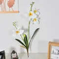 Artificial white Cattleya orchid stem with 4 flower heads and leaves for home decor - Multiple Heads with Leaves / White