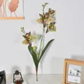 Artificial 4-head Cattleya orchid spray with tiger-striped petals and green leaves - Multiple Heads with Leaves / Grey Green