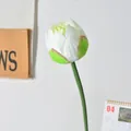 Elegante künstliche weiße Lotusblütenknospe mit grünem Stiel für minimalistische Deko - Halboffener Lotus-Weiß