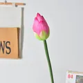 Realistische rosa künstliche Lotusblütenknospe mit langem grünem Stiel für Wohndekoration - Lotusknospe-Dunkelrosa