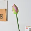 Realistische pink-grüne künstliche Lotusknospe für elegante Heim- und Tischdekoration - Lotusknospe-Rosa Grün