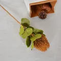 Artificial autumn-colored Banksia flower branch for Nordic home decoration - Coffee