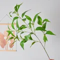Single stem of realistic artificial eucalyptus leaves for home decor arrangement - Green Eucalyptus Leaves