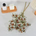 Realistic vintage artificial autumn lace berry branch for home floral arrangement decor - Brown