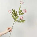 Realistischer hellrosa künstlicher Pfingstrosenzweig für die Florale Dekoration. - Fuchsia