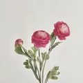 Elegant 3-head artificial pink Ranunculus bouquet for minimalist Nordic home decor - Rose Red