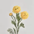 Elegant 3-head yellow artificial ranunculus bouquet for minimalist home decoration - Yellow