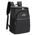 Large capacity gray oxford cloth insulated cooler backpack for camping and picnic - TH01 / 26x20x36cm / Black