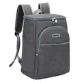 Large gray insulated Oxford fabric backpack for camping and outdoor picnic food storage - TH01 / 26x20x36cm / Gray