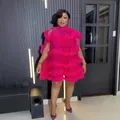 Elegant magenta ruffled mesh mini dress with tiered petal design for parties - Dresses / Red