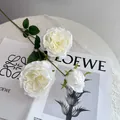 Detail of white artificial Austin roses on a stylish magazine background. - White