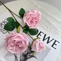 Detailed close-up view of delicate pink silk Austin roses on a white lace background. - Pink