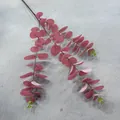 Detail view of 3D printed pink artificial eucalyptus leaves with soft touch texture. - Eucalyptus 02
