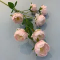 Rama de peonía artificial de 7 cabezas para decoración del hogar y arreglos de boda - Rosa
