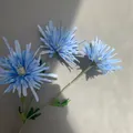 Detailansicht von drei blauen künstlichen Spinnen-Chrysanthemen auf grauem Hintergrund. - Blau
