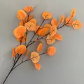 Gedetailleerd overzicht van een realistische kunstmatige oranje eucalyptustak voor herfst - 35 Bladeren / Oranje