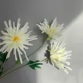 Close-up detail of three-headed white artificial crab claw chrysanthemum for home decor - White