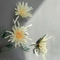 Detailansicht eleganter künstlicher dreiköpfiger Krabbenkrallen-Chrysanthemen am Stiel - Hellchampagner