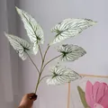 Ramo di foglie di Caladium artificiali bianche e verdi con texture 3D realistica decor - Foglia di Caladium Bianca