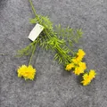 Detailansicht eines gelben künstlichen Kornblumenweigs mit 5 realistischen Blüten - Gelb