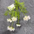Detailansicht künstlicher cremeweißer Kornblumen mit fünf Köpfen für Heimdekoration - Champagner