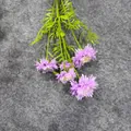 Detailansicht künstlicher lila Kornblumenstrauß mit fünf realistischen Blütenköpfen - Hellviolett