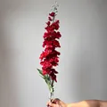 Tallo único de flor de delphinium artificial flocada roja realista - Rojo