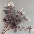 Realistic 16-fork artificial eucalyptus bundle with purple silk leaves for home decor - 16 Branches Eucalyptus (YD202230) / Silk Screen Deep Purple