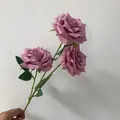 Detailed macro view of three-headed artificial pink Freud roses held against a white wall - 3-Head Rose / Bean Paste Purple