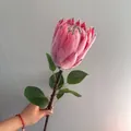 Detalle de una flor de protea real artificial flocada rosa con hojas verdes decorativas - Rosa rojo