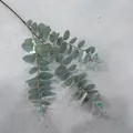 Realistic artificial eucalyptus branch with soft green money leaves on a grey background. - Eucalyptus 05