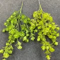 Detailed macro shot of Korean style lime green artificial vines for wedding ceiling decor - Green Plant 04