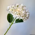 Elegant creamy white artificial hydrangea stem with realistic green leaves for wedding decor - Champagne