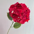 Macro view of a realistic red artificial hydrangea flower head with 20cm diameter size - Red