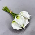 Makrodetail der realistischen Textur eines weißen künstlichen Callalilien-Bouquets - 9-teiliges Set / Weiß-Grün