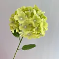 Close-up of a large green artificial hydrangea flower head with realistic textures - Light Green