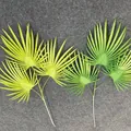 Detail view of artificial palm leaves with realistic fan-shaped textures for wedding decor. - Green Plant 07