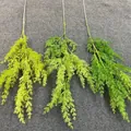 Detailed view of artificial fern branches in three shades of green for wedding decor. - Green Plant 08