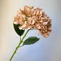 Detailed close-up of elegant champagne peach artificial hydrangea stem for wedding decor - Brown