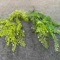 Detail view of light and dark green artificial foliage sprigs for wedding decor - Green Plant 10