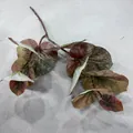 Nordic style artificial lotus leaf branch with red-green gradient for home vase decoration - Lotus Leaf 01 / Purple Gradient Style