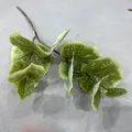 Artificial lotus leaf branch with spotted green texture for home decor - Lotus Leaf 02 / Green With White Spots