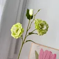 Detalle de primer plano de una flor de Lisianthus artificial de 3 cabezas verde y blanco - Verde