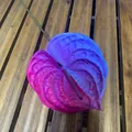 3D printed artificial Anthurium flower with blue and purple gradient for wedding decor - Blue Purple